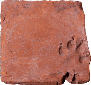 Tile with a dog's paw print